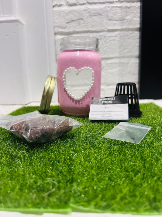 pearl heart hydroponics kit